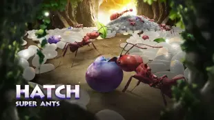 The Ants Underground Kingdom 4